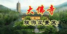 鸡巴插如逼里中国浙江-新昌大佛寺旅游风景区